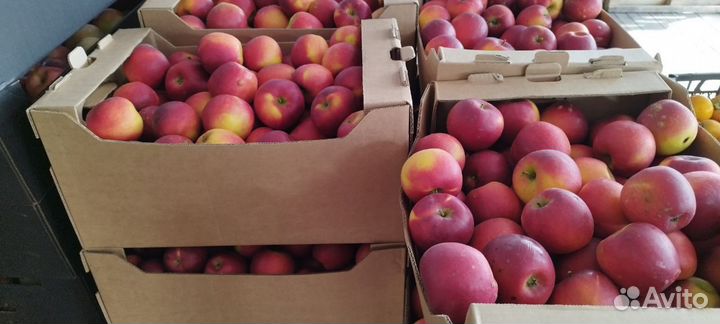 Мандарины,Яблоки