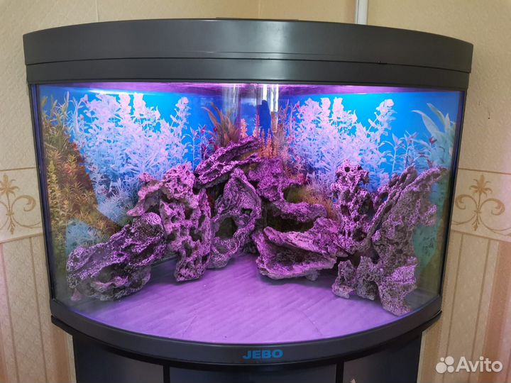 Аквариум jebo угловой с тумбой б/у