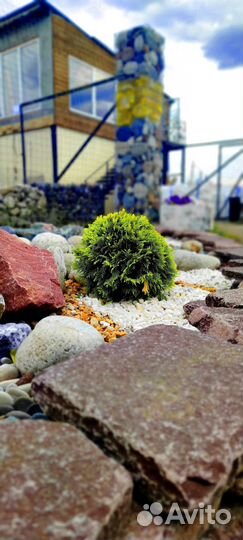 Мульча кора лиственницы