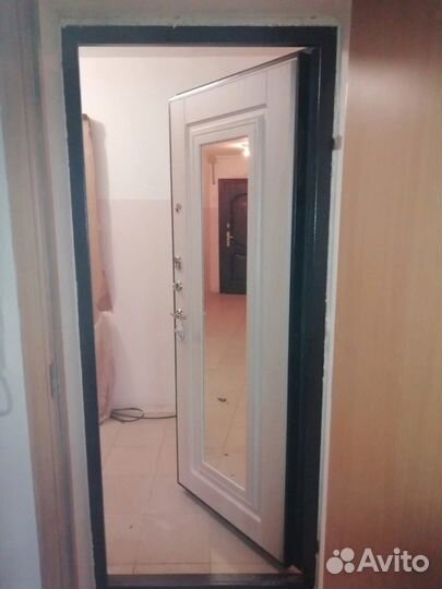 Дверь металлическая с зеркалом