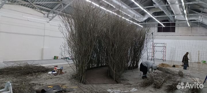 Ветки и коряги