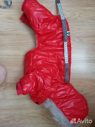 Комбинезон для собаки