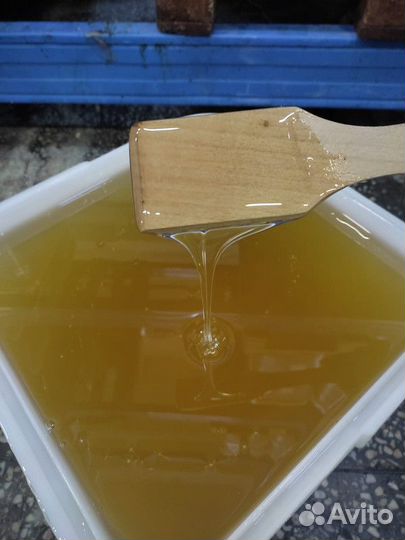 Липовый мёд оптом Свежий