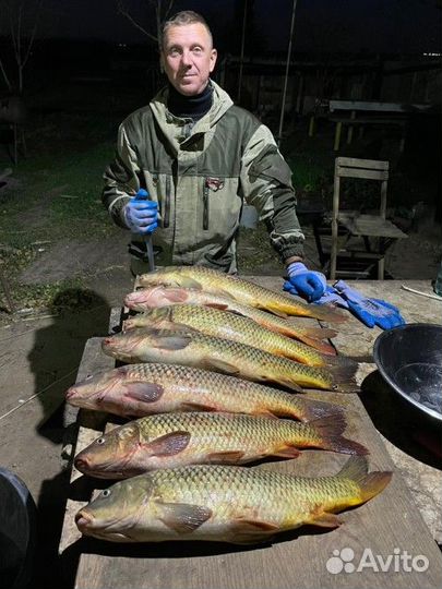 Приглашаем на активный отдых в Дельте Волги