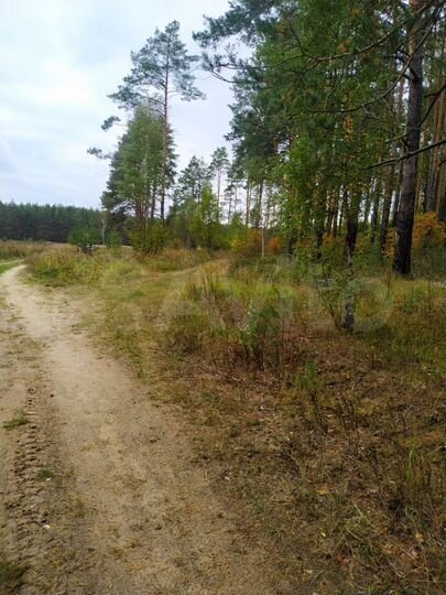 Участок 2,6 га (СНТ, ДНП)