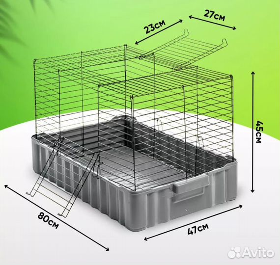 Морская свинка с клеткой