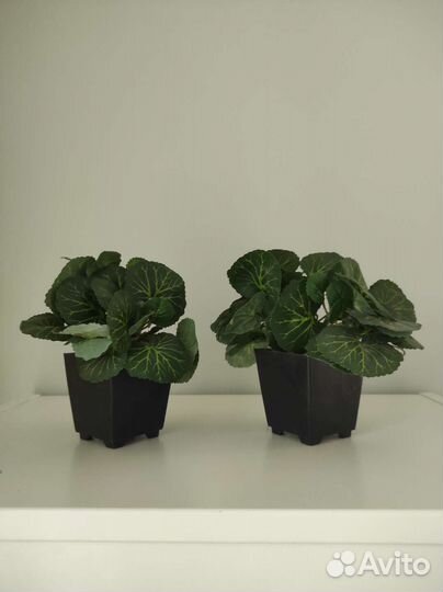 Искусственная шефлера в горшочке