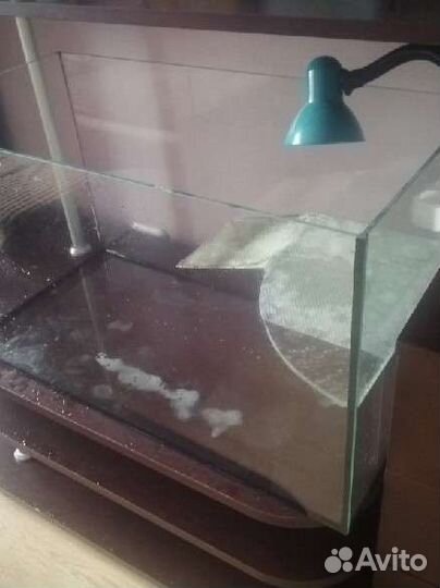 Террариум для красноухой черепахи