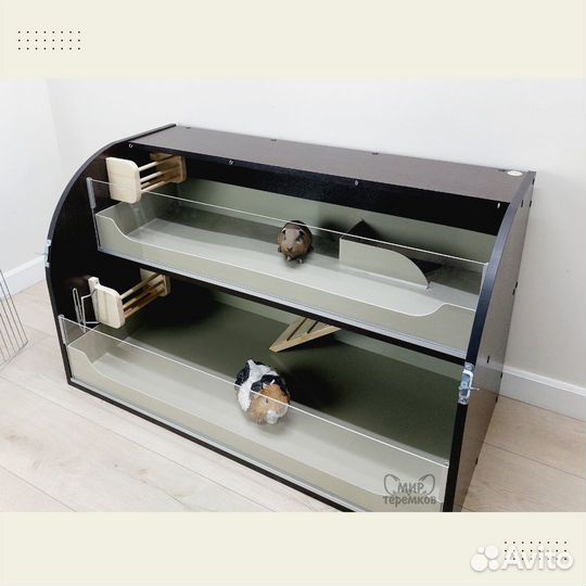 Клетка для морских свинок 100х50х60, венге, круг 4