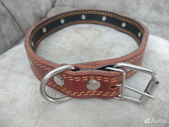 Ошейник для собак