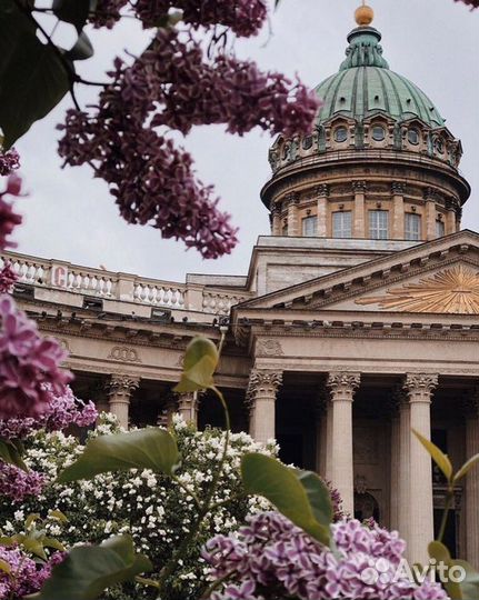Выпускной в Санкт-Петербурге – патибас