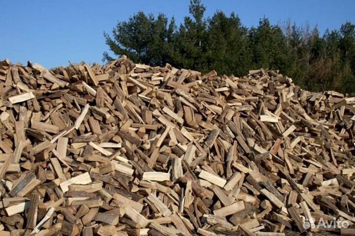 Дрова из леса