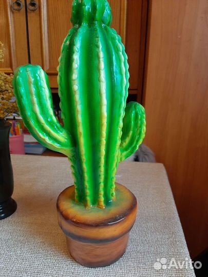 Большой кактус