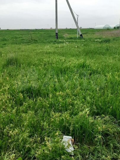 Участок 20 сот. (ИЖС)