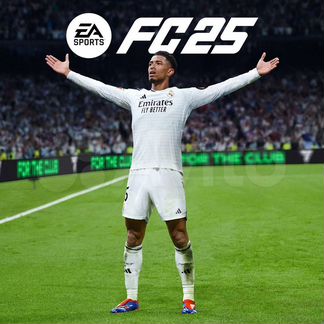 FC 25 (FIFA 25) PS4&PS5