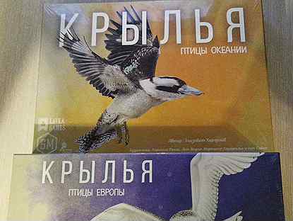 Морские Птицы Калининградской Области Фото С Названиями