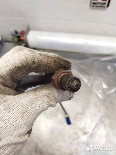 Датчик кислородный Ford Focus 3 хетчбэк 1.6 105