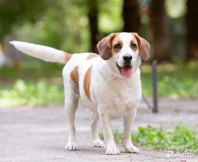 Уникальная Маруся ждет свою семью