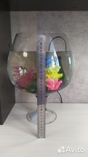 Аквариум с рыбкой