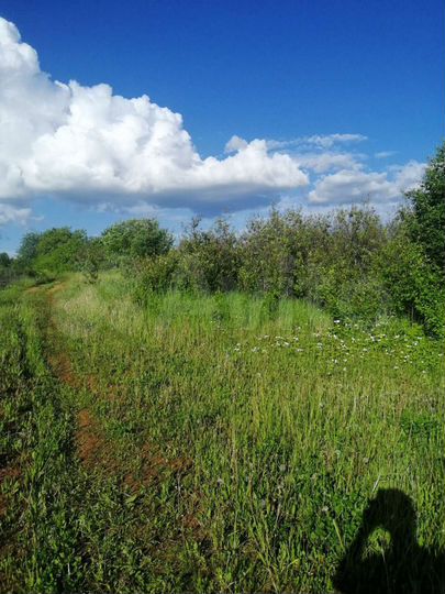 Участок 4 сот. (ИЖС)