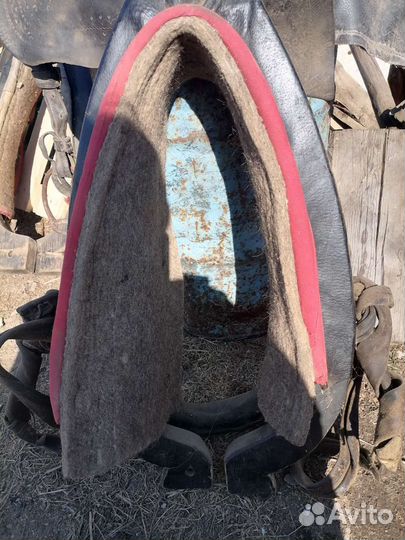 Конные сани, телега, грабли, сбруи, хомут