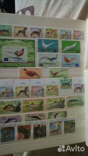 Марки Фауна Зарубежные 1964-1977г
