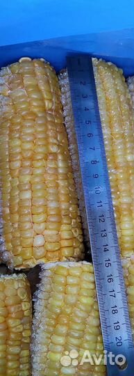Кукуруза початок Индийская замороженная