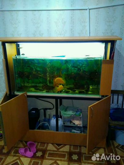 Аквариумный комплекс