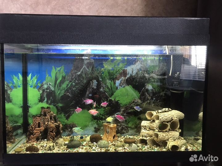 Аквариум