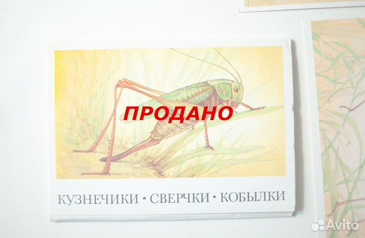 Открытки СССР и постсоветские – 1