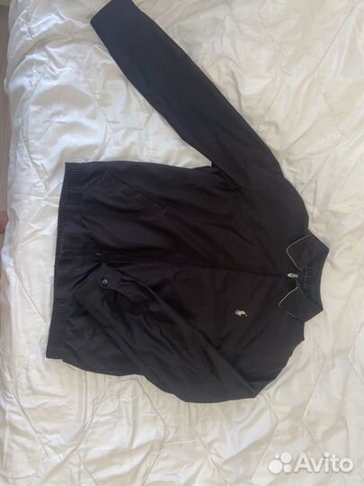 Харингтон ralph lauren S