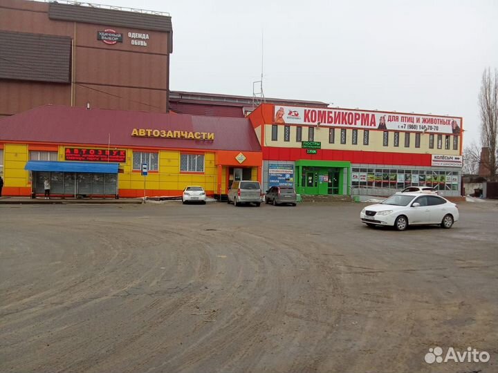 Люцерна семена