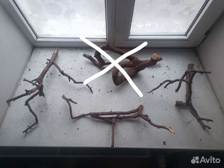 Коряги для террариума