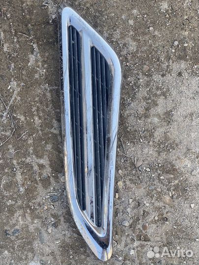 Жабра правая