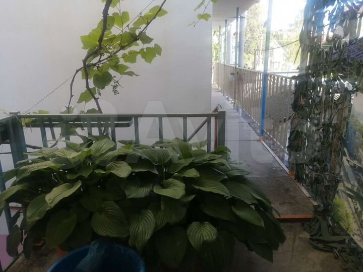Комната 9 м², 1/2 эт.