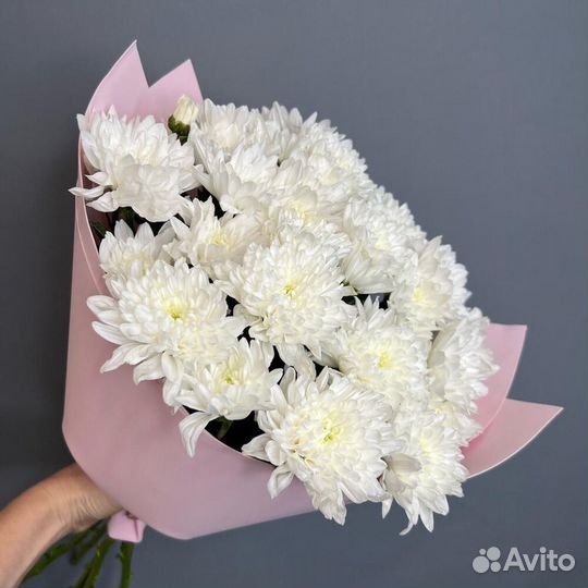 Цветы хризантемы с доставкой