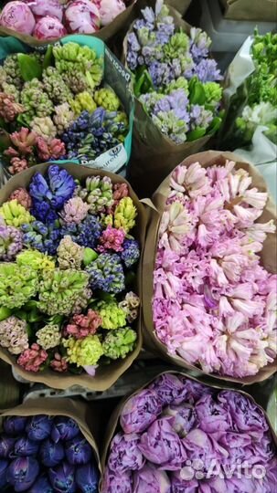 Гиацинты букет с доставкой