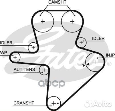 Ремень грм gates 5586XS 5586XS Gates
