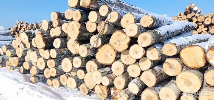 Круглый лес хвоя, береза