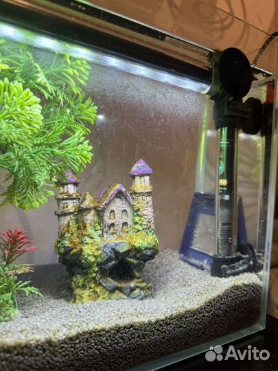 Аквариум с рыбкой на 9 литров 35х15х25