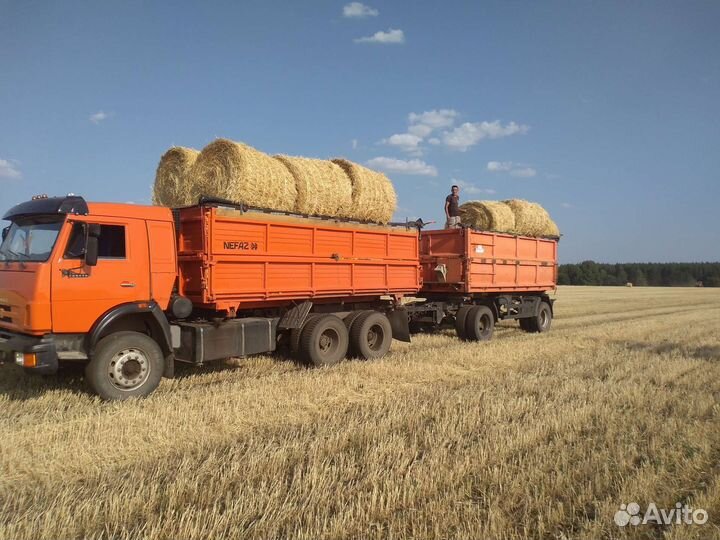 КамАЗ 65115, 2009