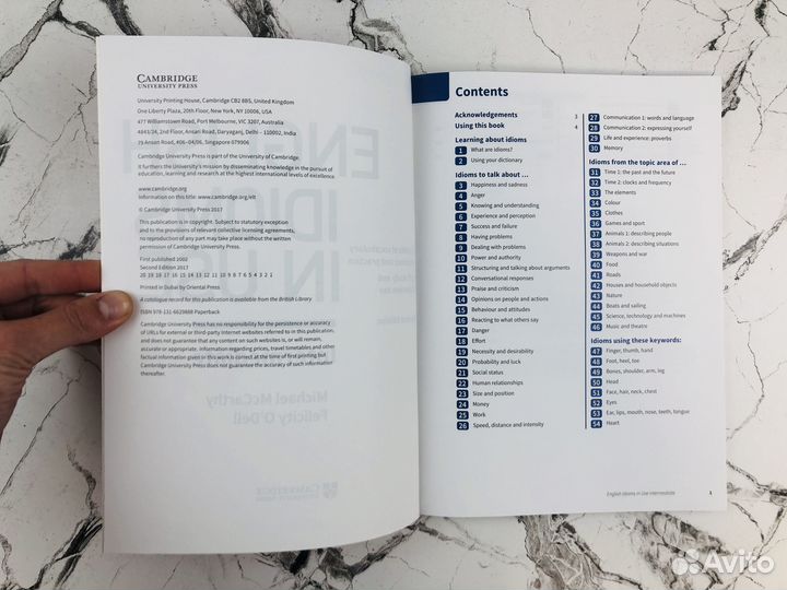 Idioms in use Intermediate big