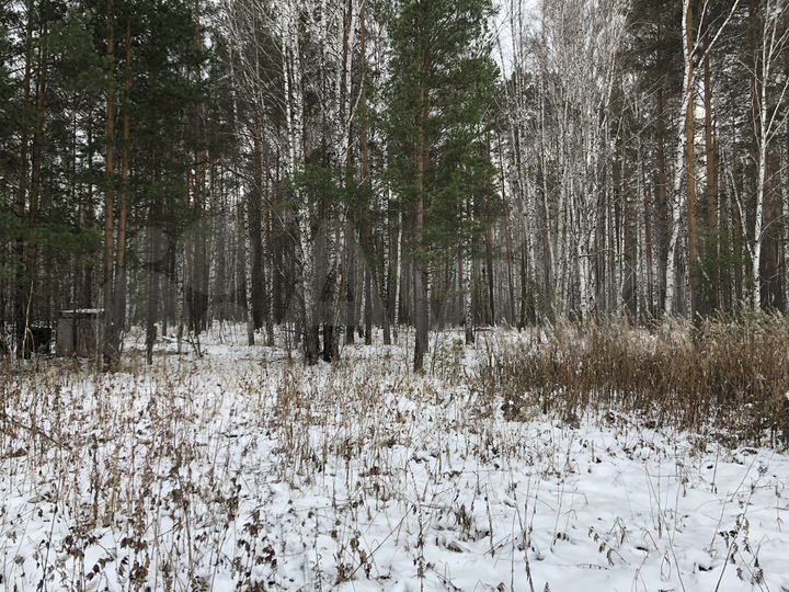 Участок 10 сот. (СНТ, ДНП)