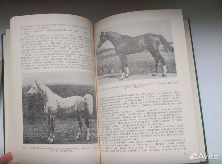 Арабская лошадь в СССР