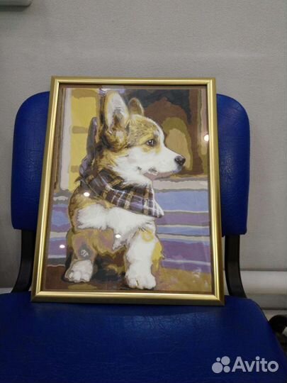 Картина по номерам собака вельш корги