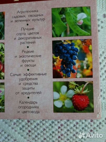 Энциклопедии. Садоводство. Цветоводство