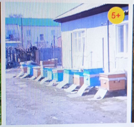 Дом 84,2 м² на участке 10 сот.