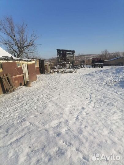 Прадаются гуси живьём
