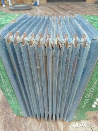 Аккордеон детский