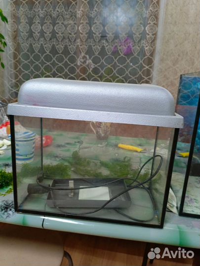 Аквариум